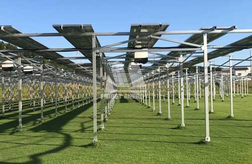 ����߲˴�����ʲô��(y��u)�c�����O(sh��)�rҪע��ʲô��