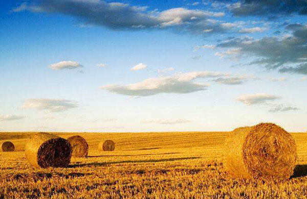 �����|(zh��)������;������Щ��Ŀǰ����ʲô���}��