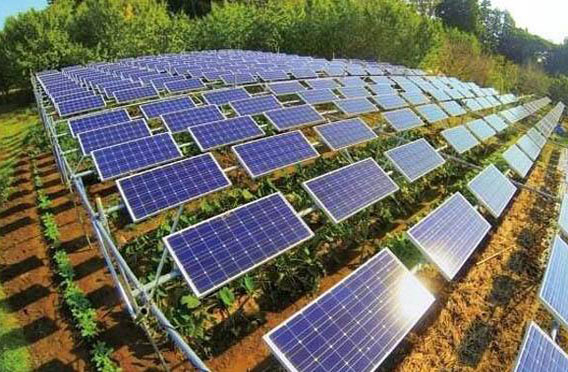 ���O(sh��)�r(n��ng)�⻥�a����վ��ʲô��̎��