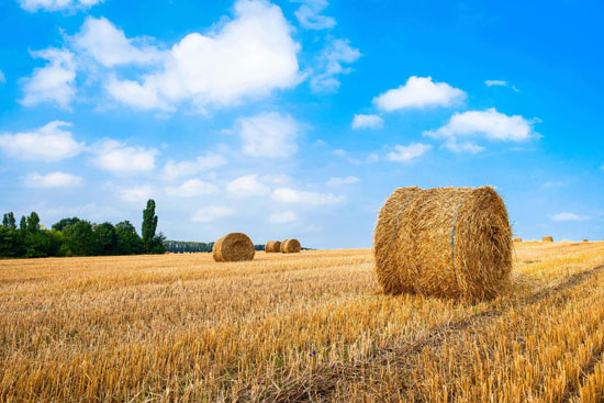 �����|(zh��)��Դ��ʲô��Դ��