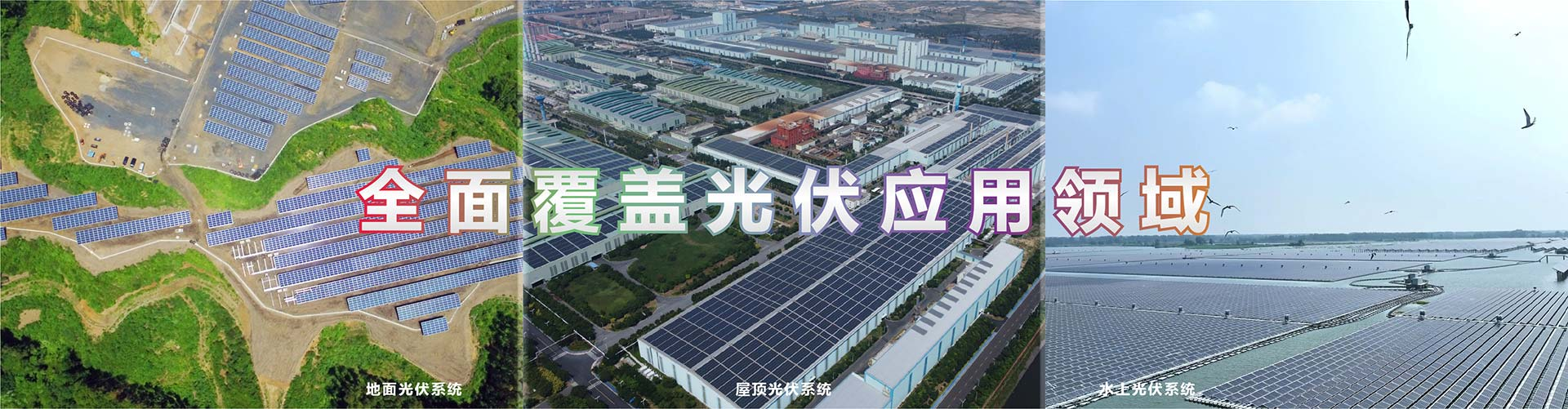 ȫ�渲�w���֧���I(l��ng)��