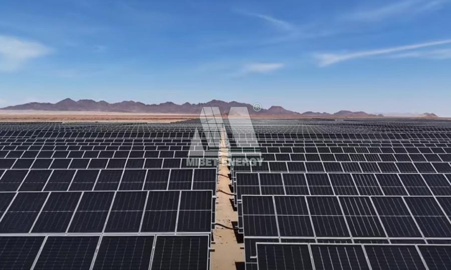 2023 �{�ױȁ� 25MW-3