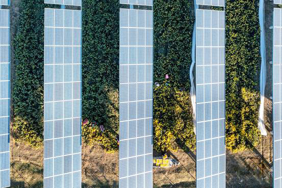 �r(n��ng)�⻥�a(b��)����վ�����Xɽ�r(n��ng)��(sh��)�F(xi��n)�p����